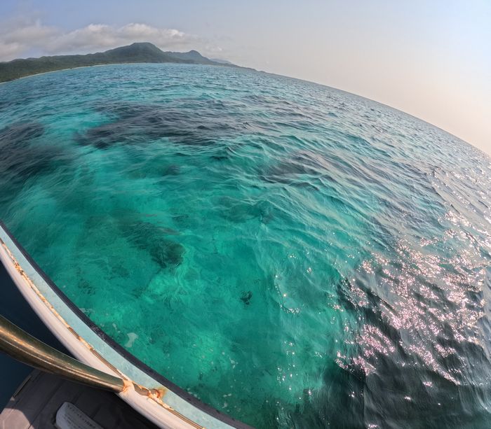 一晩でコンディションは復活