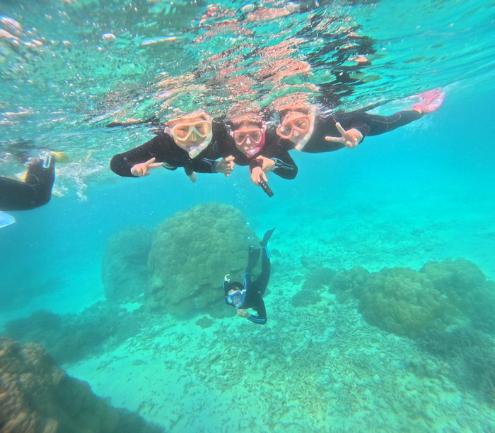 お父さんは潜る