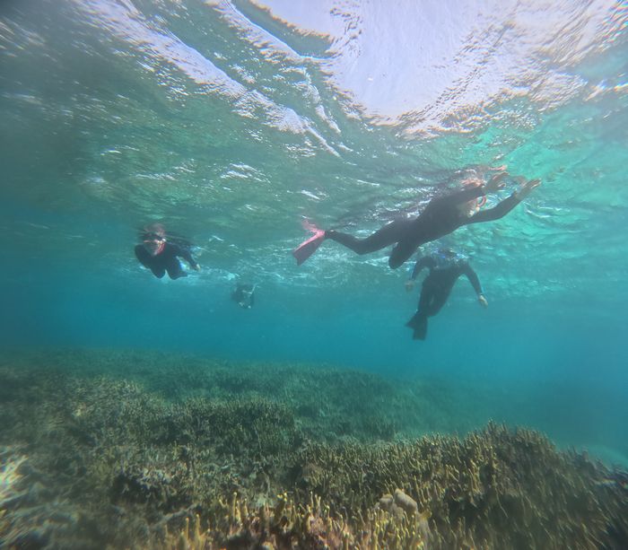 あっちこっち泳ぎ回って