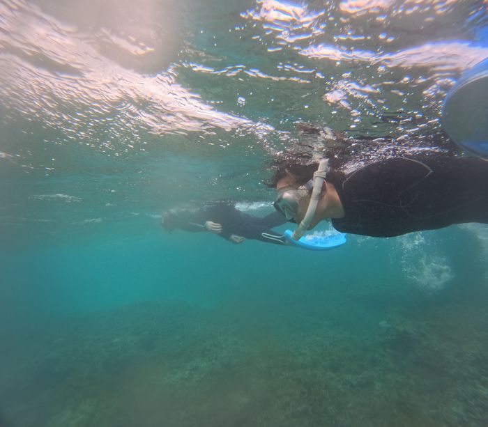 お父さんとヒカル姉さん