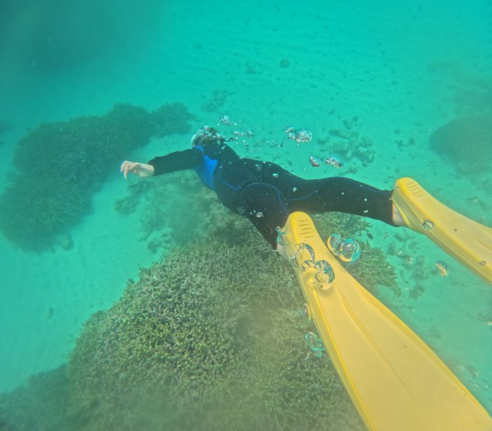 お母さん、ドボンとスキンダイビング