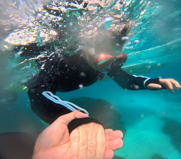 おばあちゃんも楽しむ