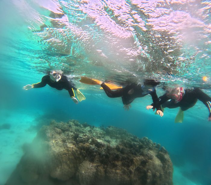 波ありなれど楽しみました