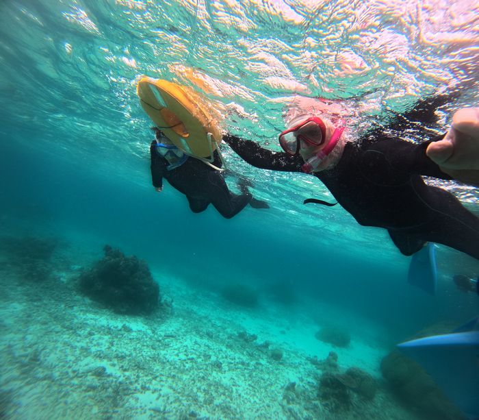 お父さん、楽しみ始めました