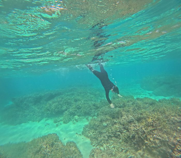 お姉さんは素潜りドボン