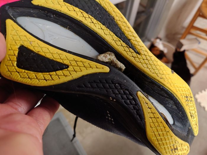 靴の裏に挟まったサンゴ