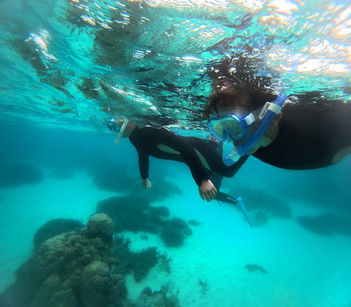 ちびっこチーム颯爽と泳ぐ