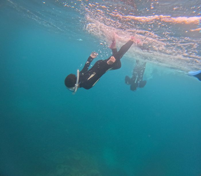 素潜りドボンも始まります。