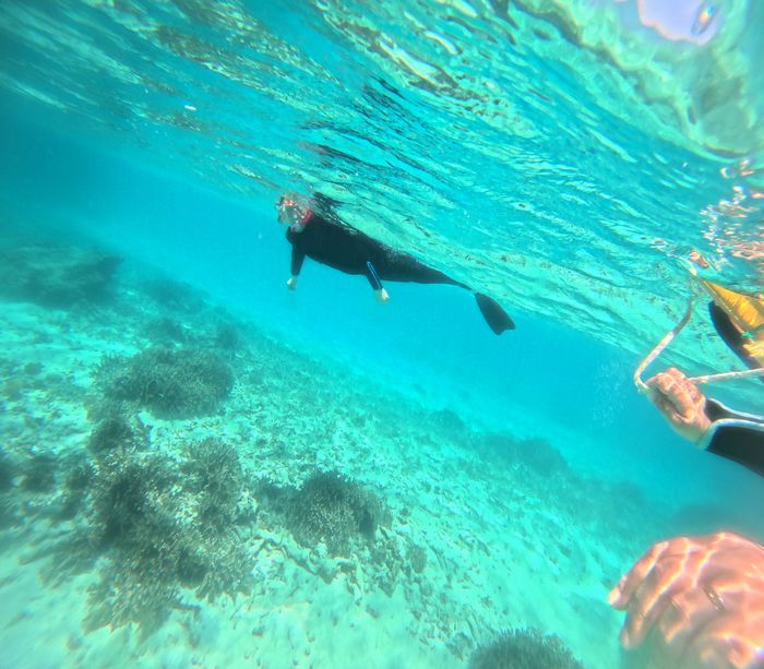 お母さんはゆったり楽しむ