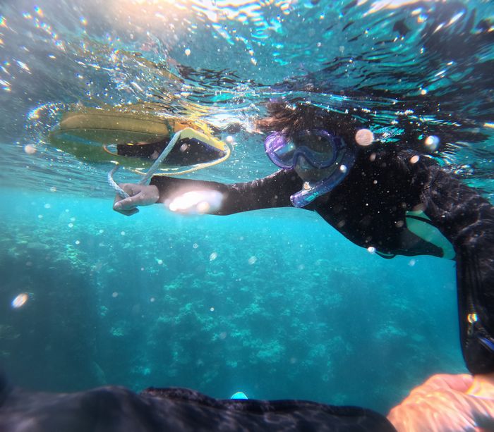 リンタ君も大冒険