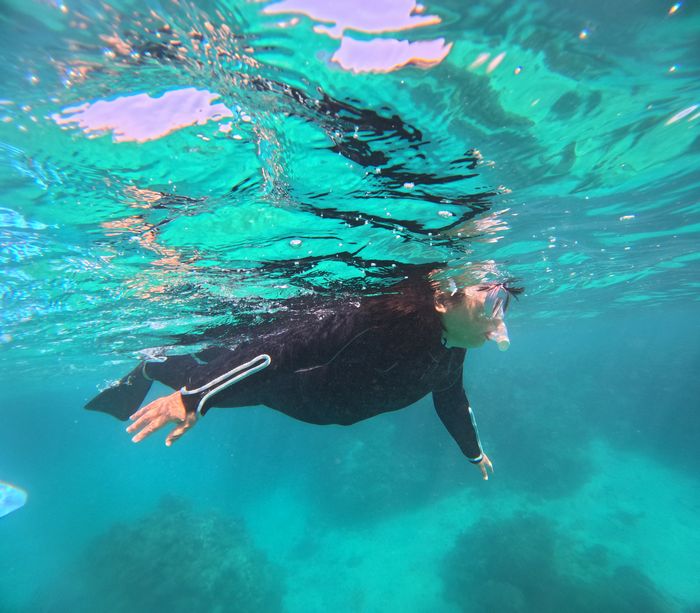 おばあちゃん、大冒険