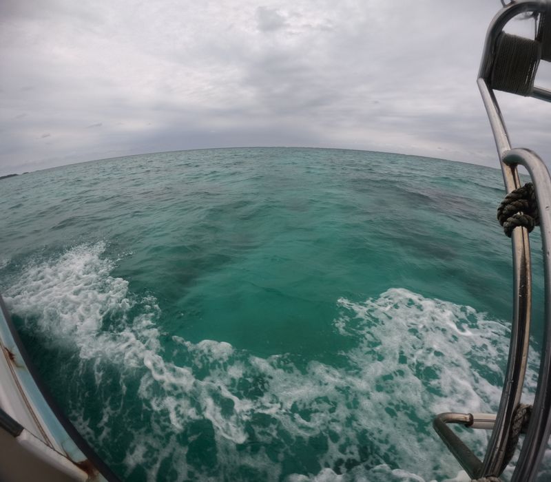 天気はどんより曇り