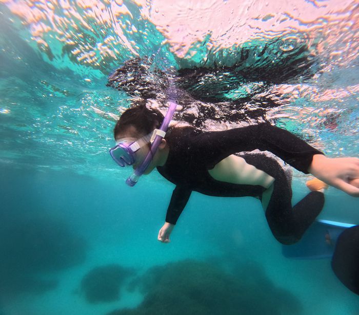 しっかりステップアップ