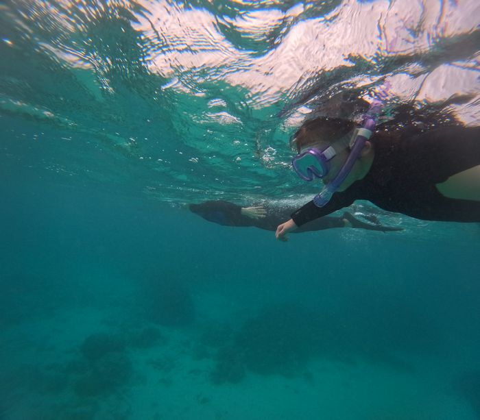 お父さんと泳ぐ