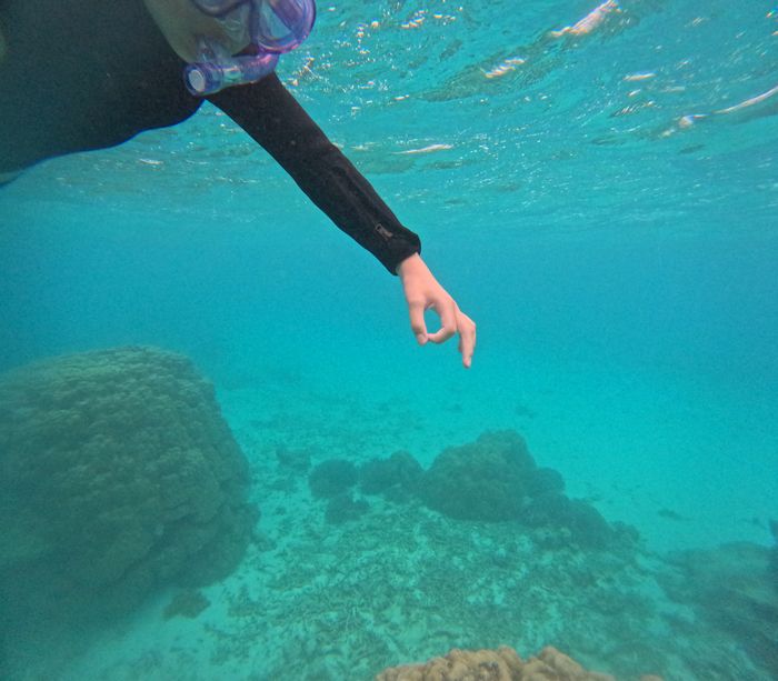 デコピン当たるかな。