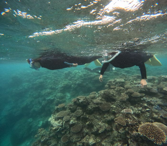 おばあちゃんもお母さんも