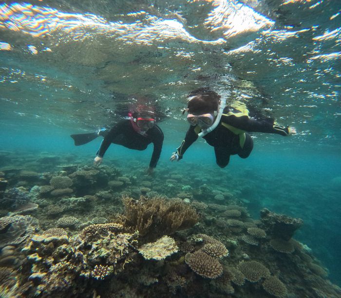 チーム若者も楽しむ