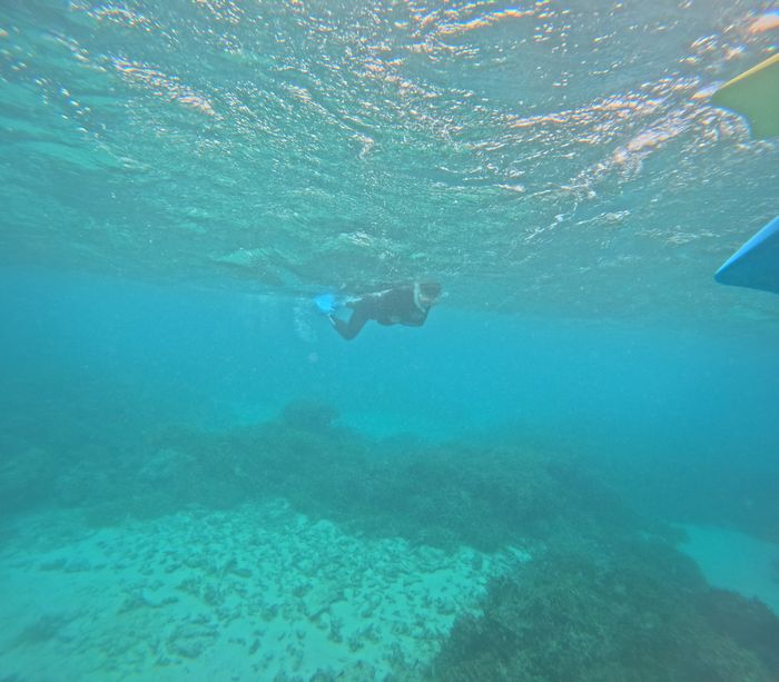 お兄さんは黙々と