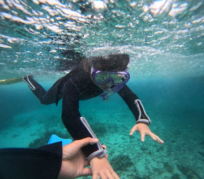 マスクデビュー！ヨウタロウ君