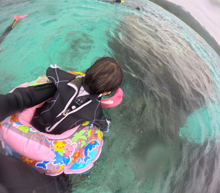 涙ポロリながらも箱メガネ