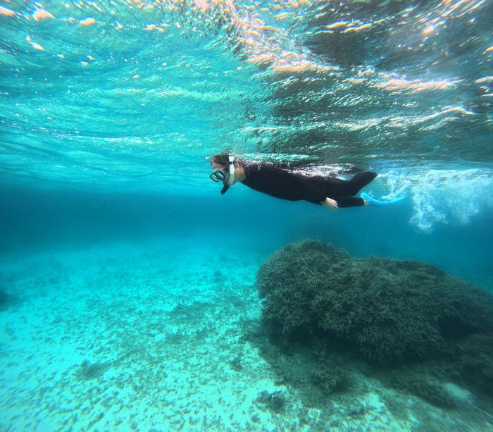 到着日のシュノーケリング