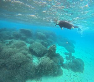 勤続43年、退職祝いで石垣島シュノーケリング！おめでとうございます♪