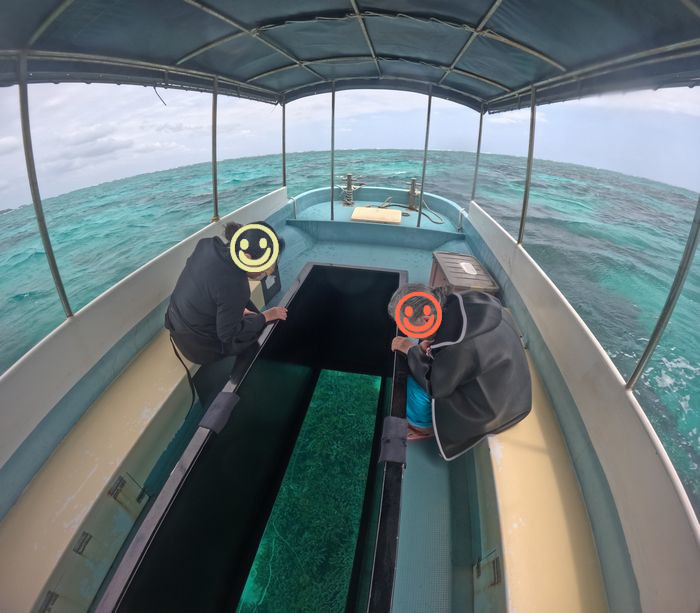 シュノーケリングチームと