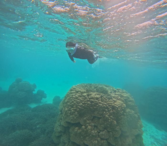 ブランク解消シュノーケリング