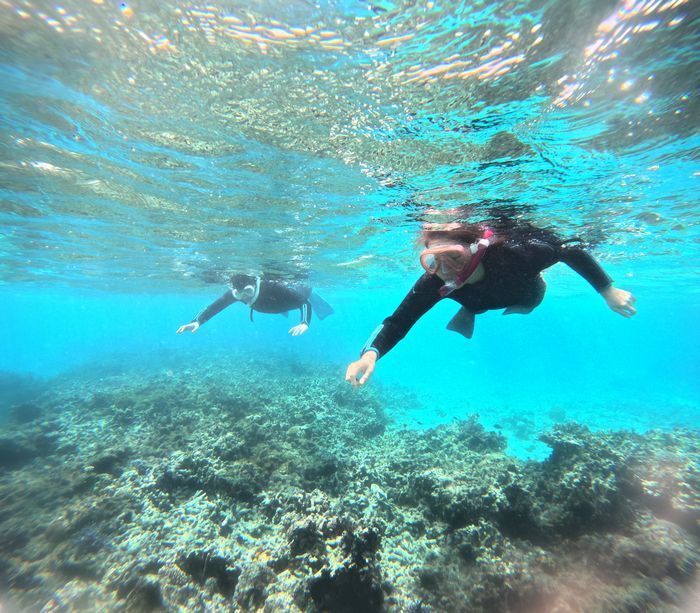 ブランク解消シュノーケリング