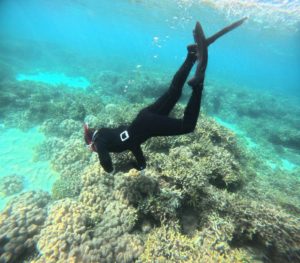 3年ブランク解消後はスキンダイビング三昧♪2026年ここ一番のベストコンディション！