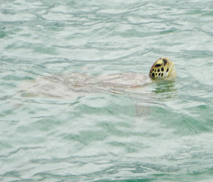 お口が空いていますね