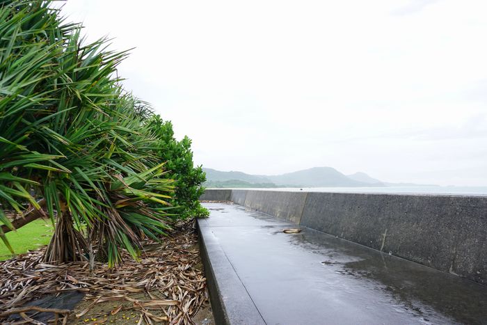 噂の堤防スポット