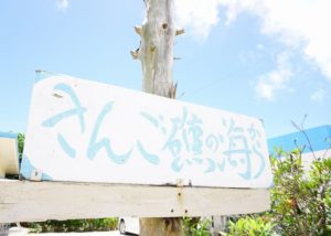 石垣島北部 東海岸『さんご礁の海から』のシュノーケルポイントは新規開拓エリア！