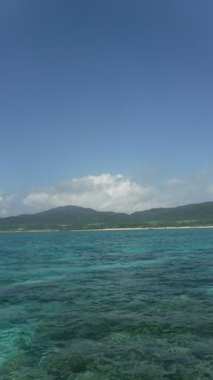 本日も快晴です。