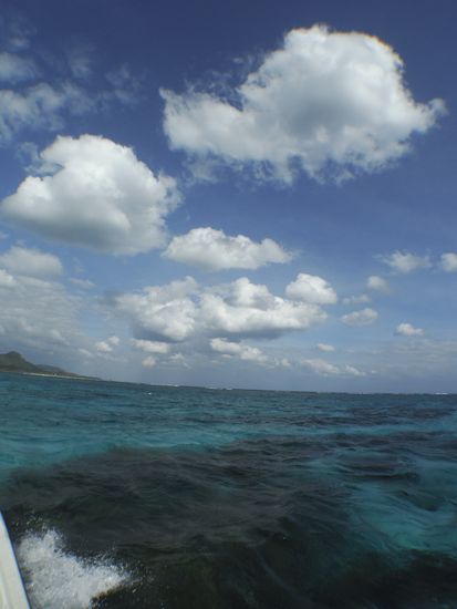 晴れ間が広がり始めた一日です