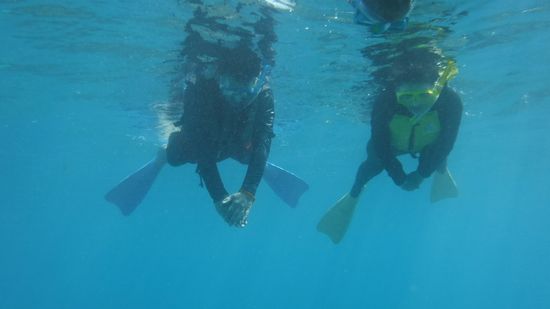 お父さん、お母さんも楽しんでいます。