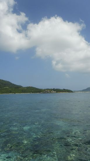 まだまだ夏日は、続きます。