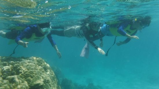 リピーターS木さんご家族です。