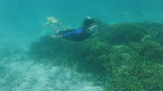 お父さん、意地の素潜りです。