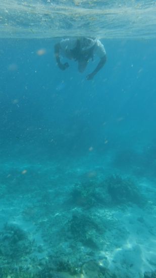 お父さんは、マイペースに楽しむ派です。