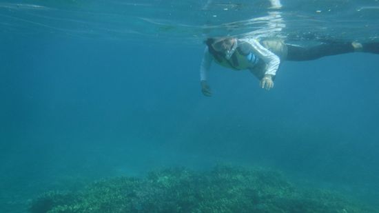 お母さん、泳げないなんて言ってましたが、大丈夫です。