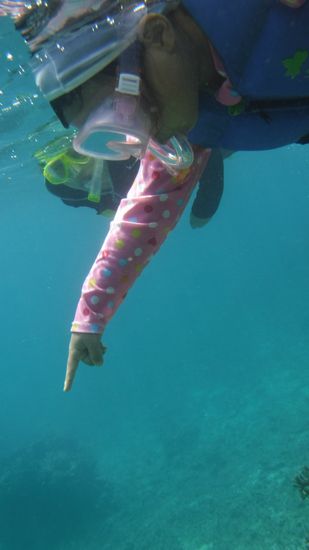 お魚さんを満と指をさしているルミちゃんです。