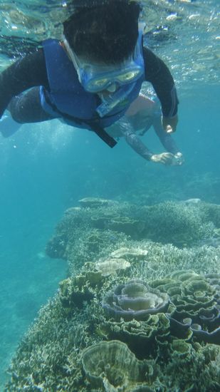 コウタロウ君は、ずっと真下を見てお魚さん探しています。