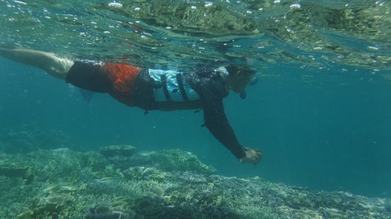 水中写真に没頭のお父さんです。