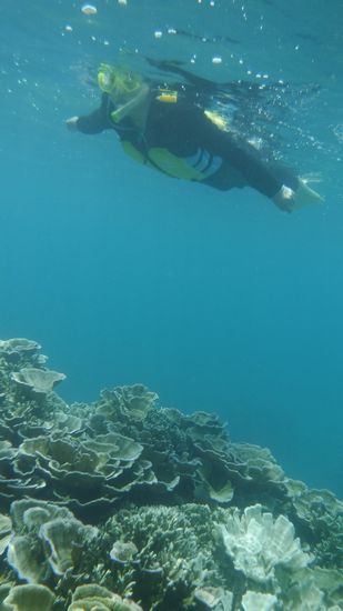 お母さんも楽しんでいます