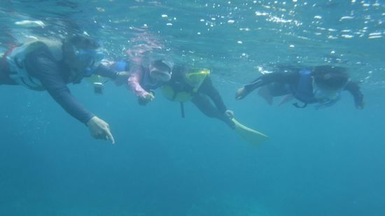 一昨日もお越しのI田さんご家族です。