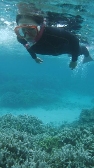 サンゴ、とってもキレイでしたね!