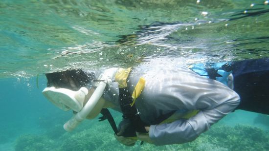 お母さんもサンゴを楽しんでいます。