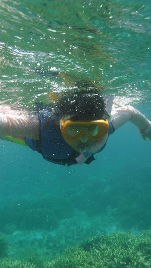 フタバちゃん、とっても元気です