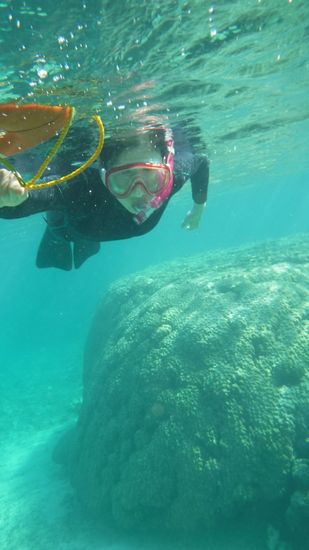 慣れれば楽勝の泳ぎの奥さんです。